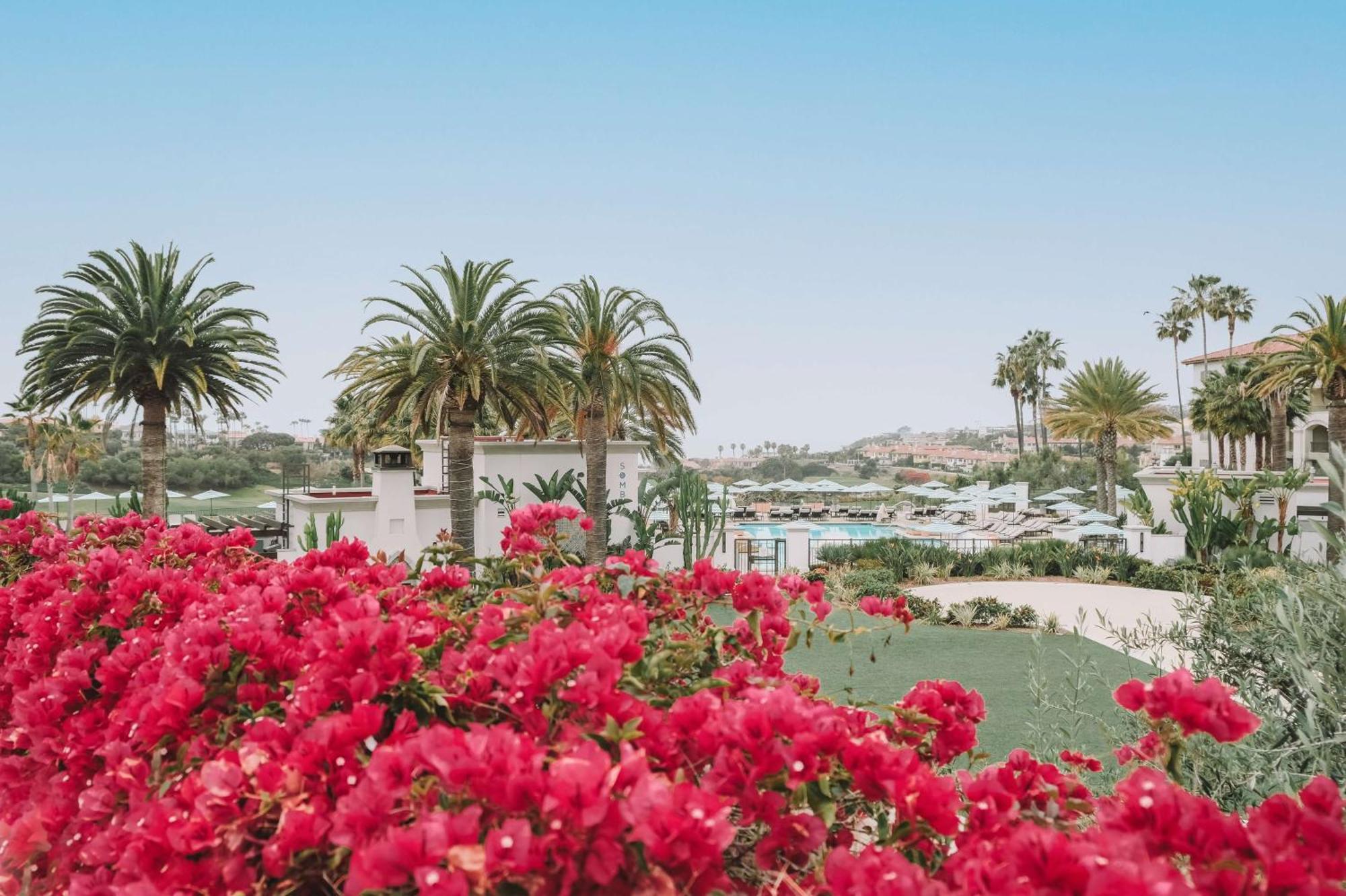 Waldorf Astoria Monarch Beach Resort & Club دانا بوينت المظهر الخارجي الصورة