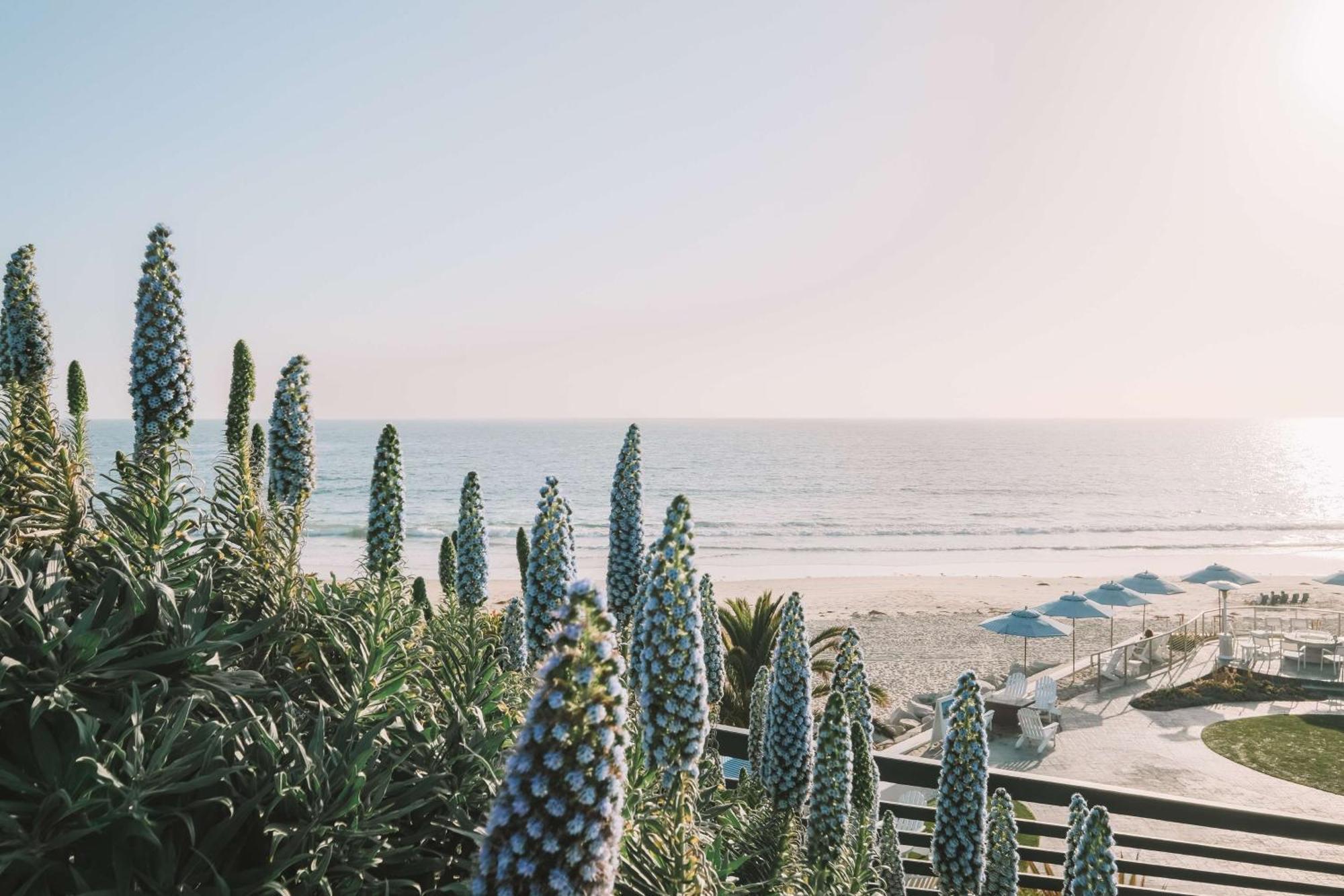 Waldorf Astoria Monarch Beach Resort & Club دانا بوينت المظهر الخارجي الصورة